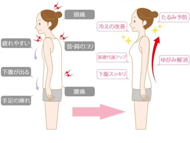 今回は猫背と肩甲骨の位置やについてのお話です♪