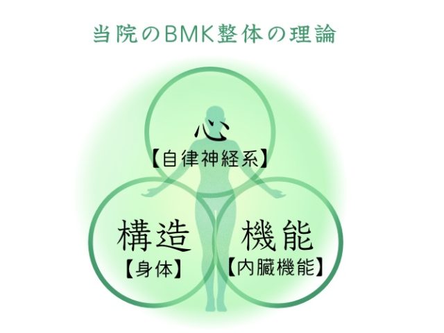 今回は自律神経と筋肉の関係のお話です🫶🏻