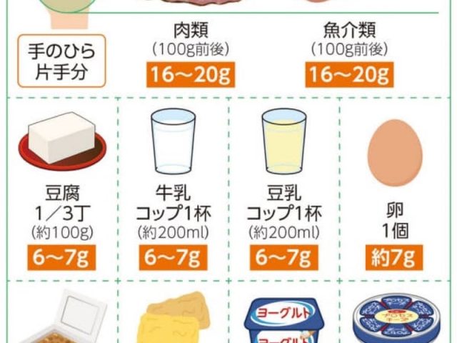 美も健康もタンパク質で作られています！