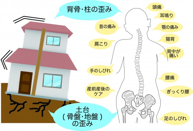骨盤は身体の基礎地盤です💪🏻✨