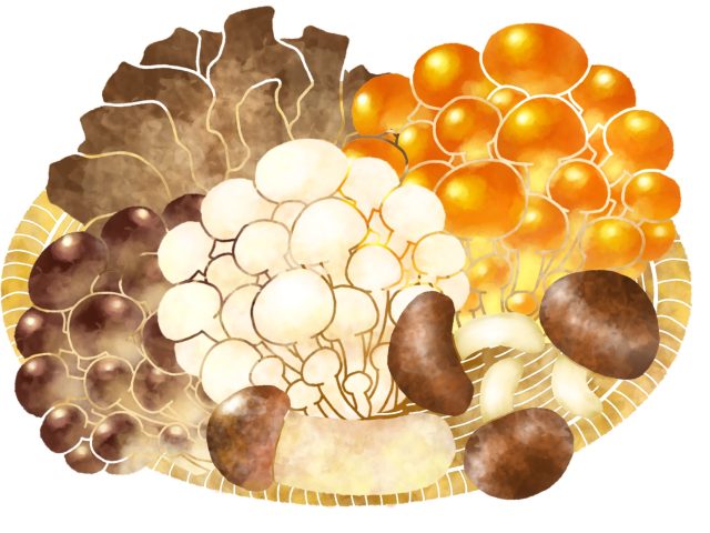 今が旬の食材、きのこ🍄‍🟫を食べるなら…